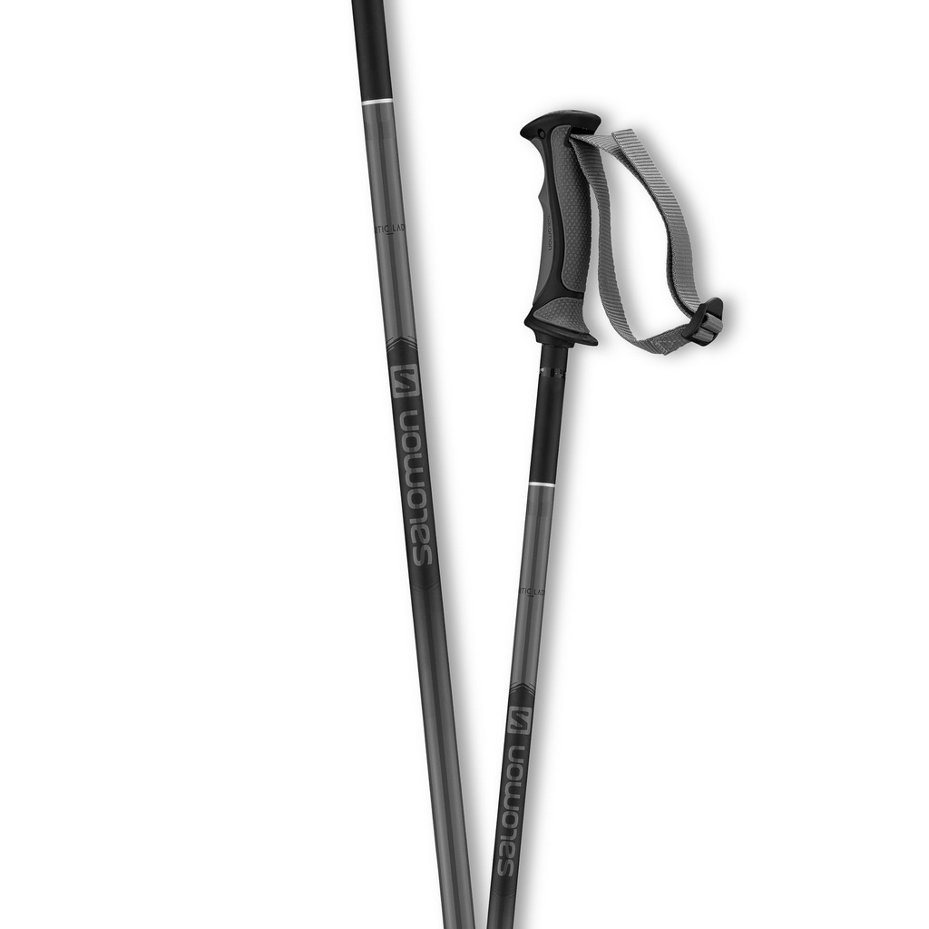 salomon arctic lady ski pole